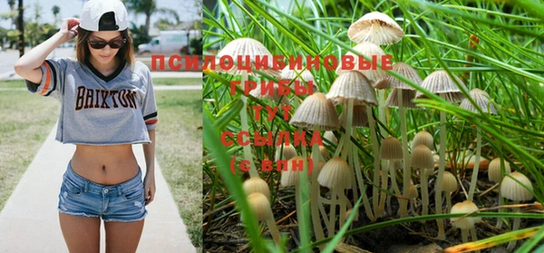 МДПВ Богородск
