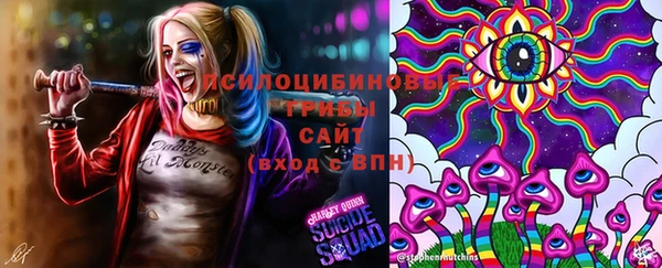МДПВ Богородск