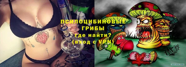 МДПВ Богородск