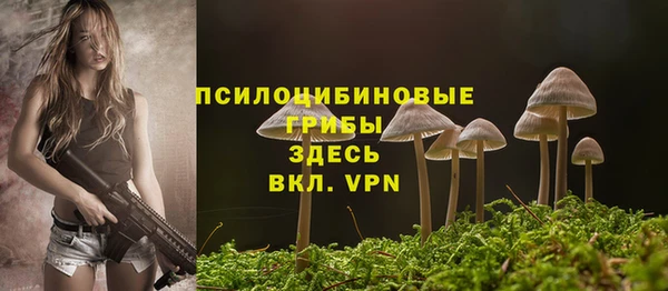 мескалин Богородицк