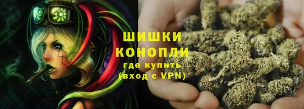 МДПВ Богородск