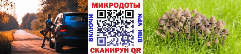 магазин  наркотиков  Вязьма  кракен tor  Галлюциногенные грибы Psilocybine cubensis 